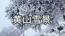 雪中的黄山 是不是美丽冻人#黄山雪景