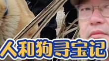 我和狗狗寻宝记#户外生活 #柴犬 