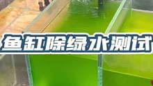 鱼缸水发绿并不是常态，我养过那么多鱼缸，水体发绿的真是一个手能数过来，想养出绿水的和被绿水困扰的朋友