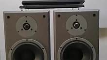 #发烧hifi #功放音响 #发烧友 #二手设备 丹拿DM2/8发烧书架音箱，产地：丹麦，成色8.8
