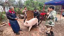 湖南农村杀年猪，60多岁老师傅手法很利落，杀猪过程如行云流水