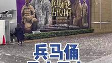 兵马俑来东京了，工作日就有这么多人参观 #海外生活 #日本生活 #兵马俑 #随拍