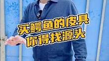 买鳄鱼的皮具你得找源头#鳄珍 #鳄鱼 #皮带