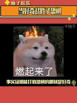 #陳銘 #當(dāng)好奇戰(zhàn)勝了恐懼 一下就不害怕了還特想問(wèn)問(wèn)~~