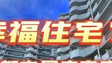 东京都市圈内家庭房 幸福住宅？ #文华聊日本房产 #文华带您看日本 #文华带您游日本 #视频号看世界