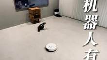 假如扫地机器人有段位#大吸力敢battle #石头清扫旗舰 #石头T8Plus