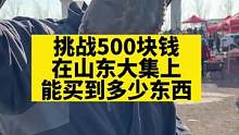 挑战500块钱在山东大集上，能买到多少东西。#赶大集 #老百姓的平凡生活 #山东大集 #生活的烟火气