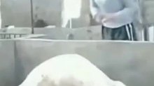 这操作真下饭啊