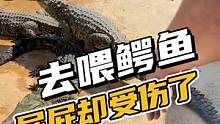 大鹏吓到不敢说话！#鳄鱼养殖场 #不作死就不会死 