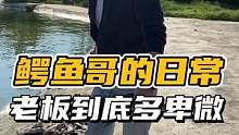 老板到底多卑微#鳄珍 #鳄鱼 #日常vlog