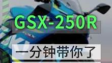 一分钟带你了解说明书重点之GSX-250R篇#摩托车 #机车 #骑士装备 #头盔 #机车 #爱机车爱