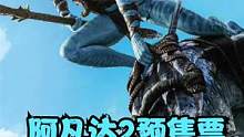 《阿凡达2》预售总票房破4000万，将于12月14日开启点映 #阿凡达2预售票房破4000万  #阿