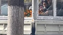 卖橘子夫妻躺在透明保暖车厢内，一边玩手机一边等着顾客。两人不断互动，场面温馨