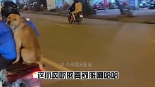 听你说谢谢我是孤勇者