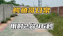 用时2分46秒#鳄珍 #鳄鱼 #日常vlog