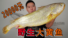 破纪录试吃！20000买一条5.2斤的超大野生大黄鱼