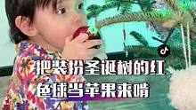 自从圣诞树装扮好曼淇晚上都不睡觉了，半夜爬下床去圣诞树下玩，树上挂的球形装饰都当苹果拿来啃，嘴里还用