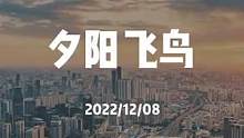 不怪你不明白藏在天空中的飞鸟，我怪的是DJI Mavic 3云台旋转的太慢 #城市风光 #每个人都在