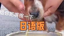 狗子我呀，差点就饿没了#日语 #配音 #空酱