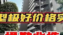 千叶大面积公寓 户型好价格实惠 通勤必选 文华带您看日本第159集 #视频号看世界 # #文华带您看