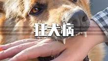 100％致死的狂犬病到底有多可怕？这个视频一定要认真看完，很有可能会颠覆你对狂犬病的认知！#狂犬病 