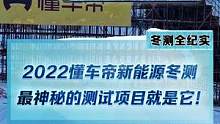 历时1个月，消耗了5万根钢管，2万立方的懂车帝大坡，究竟谁可以征服？#2022懂车帝新能源冬测#新能
