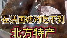 在法国绝对吃不到的北方名吃  知了猴 吃一次就让你流连忘返#上的吃货不简单  #抓知了 #北方美食 
