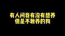 什么时候我要是有院子了我一定养它！