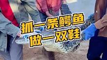 抓一条鳄鱼做一双鞋#鳄珍 #鳄鱼 #半鳄商务鞋