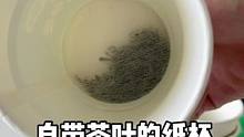 自带茶叶和滤网，茉莉花和绿茶的结合口感清香，有客人来泡上一杯很方便。#一次性纸杯 #茉莉花茶 #纸杯