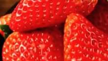 董老师推荐《草莓》正宗丹东九九草莓 产地直发 喜欢的朋友自己拍！#丹东九九草莓  #丹东草莓  #草
