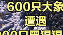 当600只大象遭遇2000只黑猩猩围攻！ #大片即视感 #单机游戏