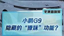 小鹏G9竟然有隐藏的”撩妹“功能，小姐姐会喜欢吗？#2022懂车帝新能源冬测 #新能源冬季大考成绩出