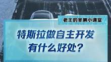 特斯拉为什么要自主开发，这样做有什么好处？#2022懂车帝新能源冬测#新能源冬季大考成绩出炉