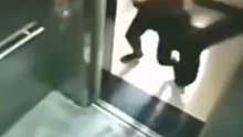 男子故意乱按电梯键，最后被女子抱摔