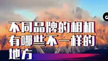 相机怎么买，不同的品牌有哪些独特的地方？一条视频告诉你#摄影 #摄影器材 #索尼 #尼康