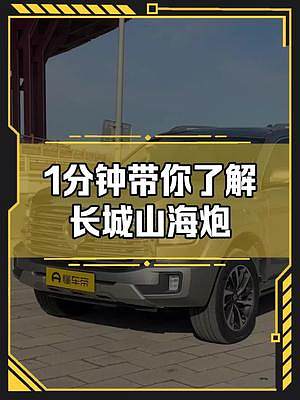 1分鐘帶你了解#長(zhǎng)城山海炮 多少錢你會(huì)考慮入手？#新車