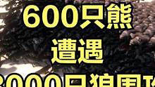 当600只熊遭遇8000只狼围攻！ #大片即视感 #单机游戏