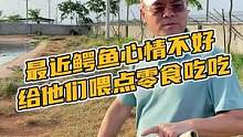 最近鳄鱼心情不好给他们喂点零食吃吃#鳄珍 #鳄鱼