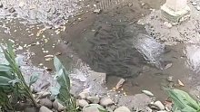 这绝对是钓鱼佬的天堂