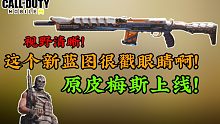 这个SKS蓝图也太戳眼睛了！！！Cod16梅斯原皮上线！【使命召唤手游】