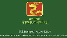 【速 度 与 激 情 9】