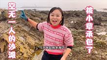 空无一人的沙滩被小章承包，八爪鱼一抓都是一大窝，还有面包蟹！