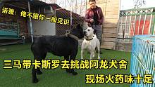 三马带卡斯罗去挑战阿龙犬舍，现场火药味十足，高手过招点到为止