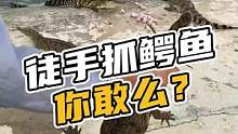 徒手抓鳄鱼你敢吗？#鳄珍 #鳄鱼