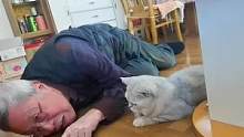 #萌宠 天呐！这也太可爱了！看小猫咪陪伴老人的样子好温暖呀！