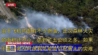 澳大利亚飞机坠毁，2人丧生还引发森林大火！