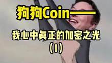 加密之光:狗狗-1/2#web3 #doge #去中心化 