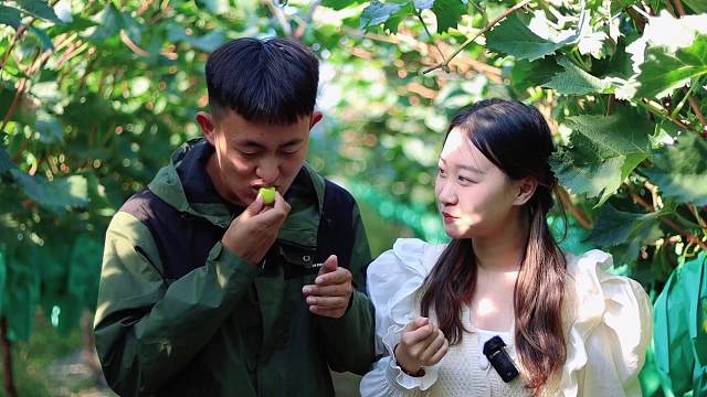 7亩地90万！他的阳光玫瑰葡萄是如何管理出来的？