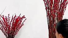 今年过年一定要在家里摆上一盆#银柳，红红火火过大年！喜庆又好看！#年宵花